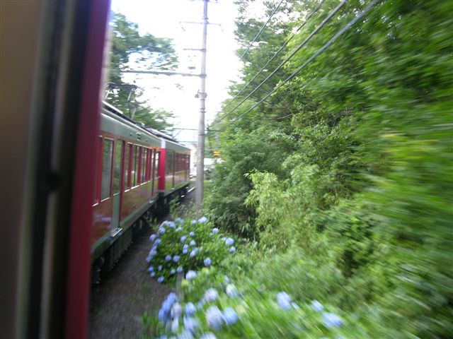 Train to Gora